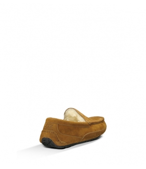 Mens Ascot - Suede Chestnut 5775